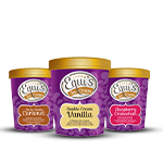 Equis Ice Cream  160ml 